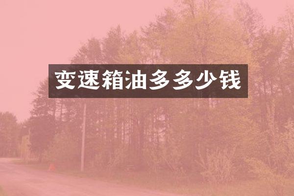 变速箱油多多少钱