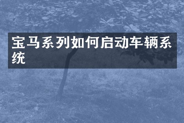 宝马系列如何启动车辆系统