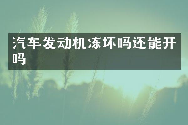 汽车发动机冻坏吗还能开吗