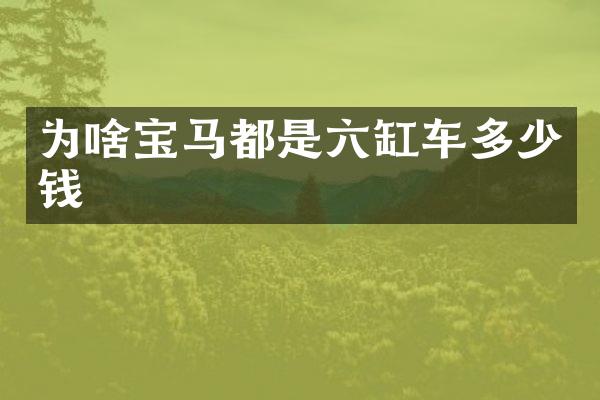 为啥宝马都是六缸车多少钱
