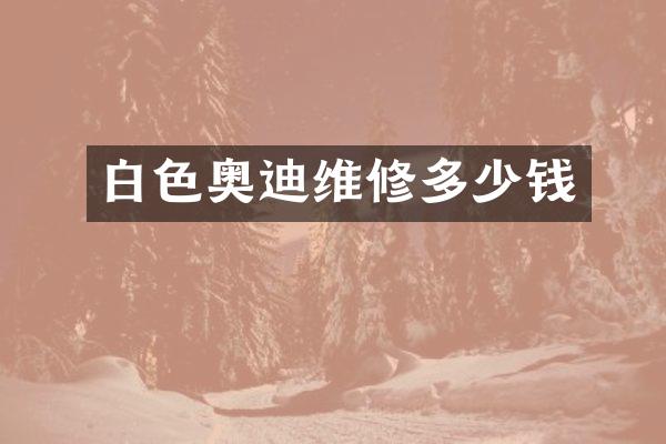 白色奥迪维修多少钱