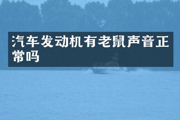 汽车发动机有老鼠声音正常吗