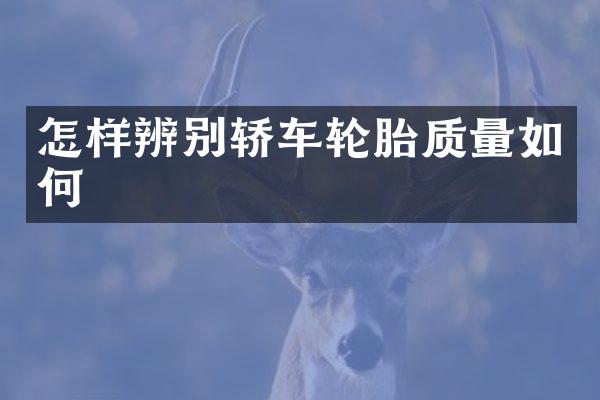 怎样辨别轿车轮胎质量如何
