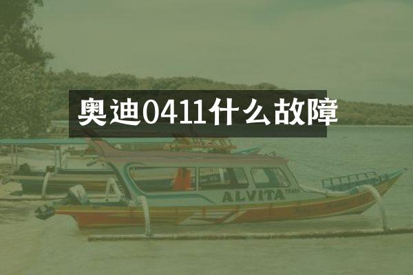 奥迪0411什么故障