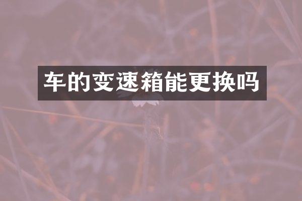 车的变速箱能更换吗