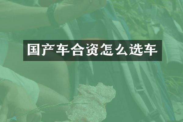 国产车合资怎么选车