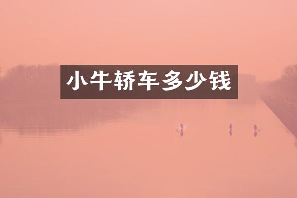 小牛轿车多少钱