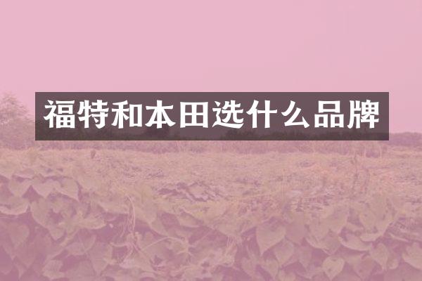 福特和本田选什么品牌
