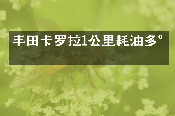 丰田卡罗拉1公里耗油多少