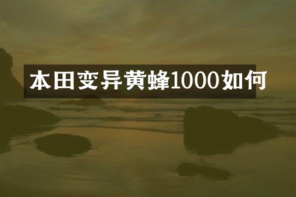 本田变异黄蜂1000如何