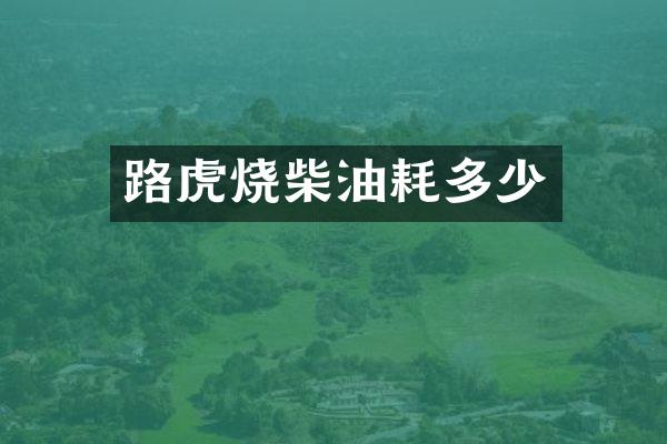 路虎烧柴油耗多少