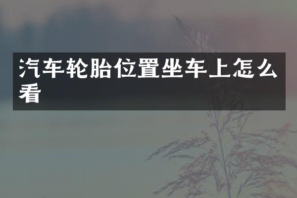 汽车轮胎位置坐车上怎么看