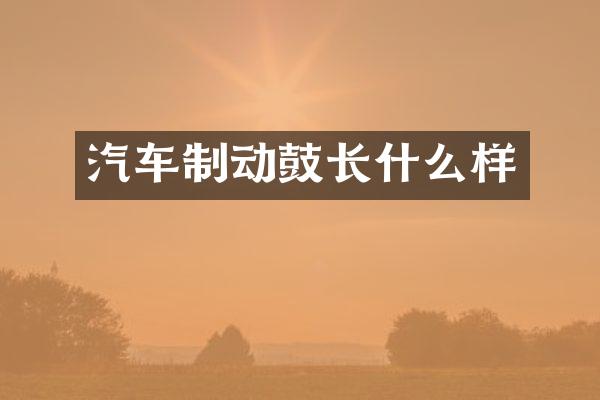 汽车制动鼓长什么样