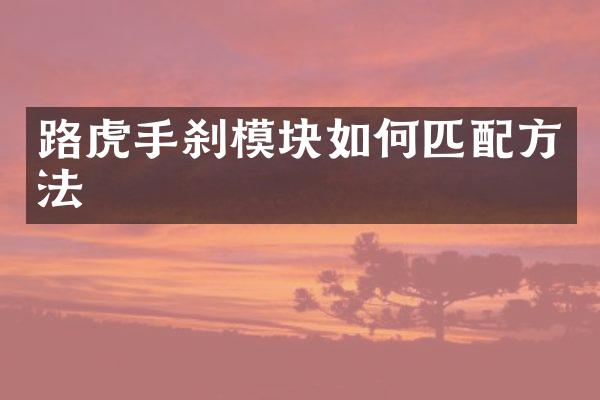 路虎手刹模块如何匹法