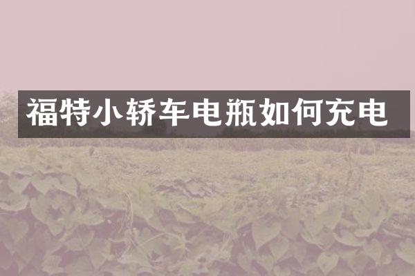福特小轿车电瓶如何充电