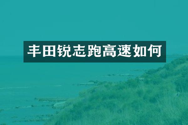 丰田锐志跑高速如何