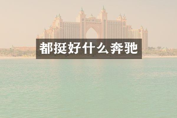 都挺好什么奔驰
