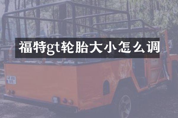 福特gt轮胎大小怎么调