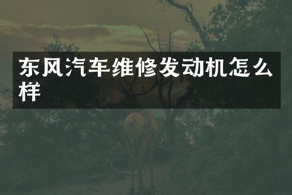 东风汽车维修发动机怎么样