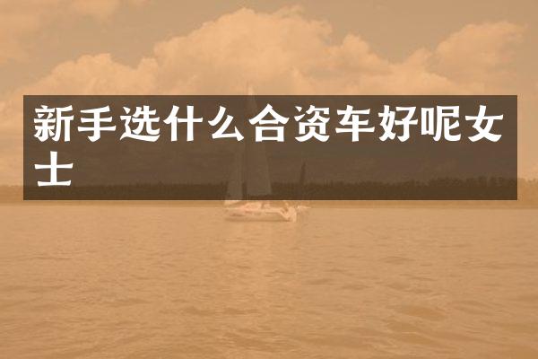 新手选什么合资车好呢女士