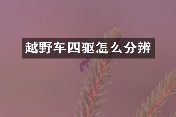 越野车四驱怎么分辨