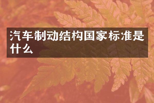 汽车制动结构国家标准是什么