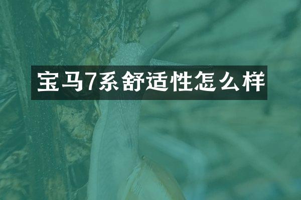宝马7系舒适性怎么样