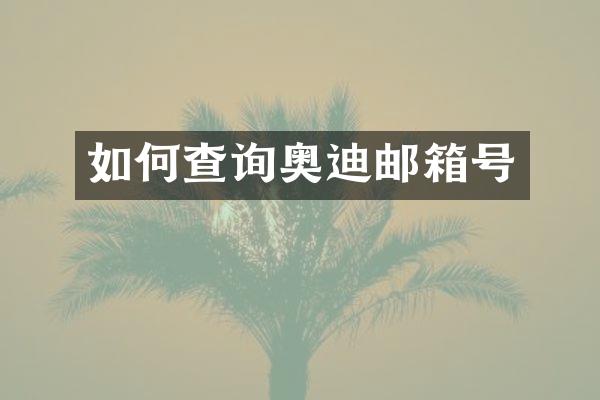 如何查询奥迪邮箱号
