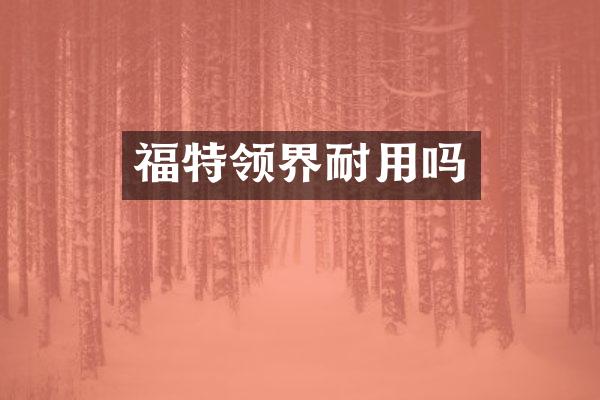 福特领界耐用吗