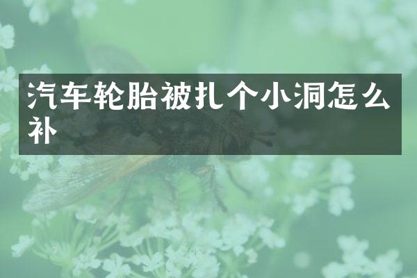 汽车轮胎被扎个小洞怎么补
