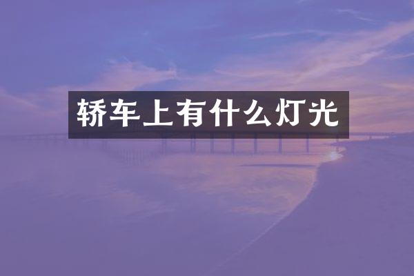 轿车上有什么灯光