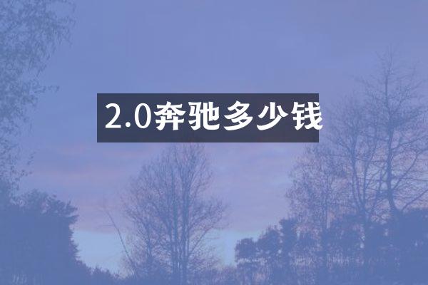 2.0奔驰多少钱