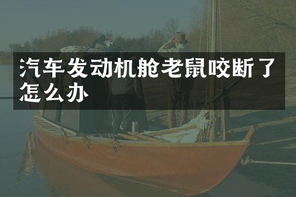 汽车发动机舱老鼠咬断了怎么办
