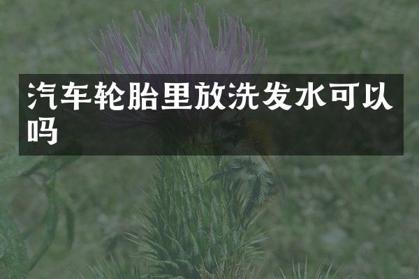 汽车轮胎里放洗发水可以吗