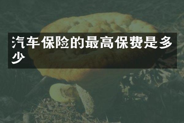 汽车保险的最高保费是多少