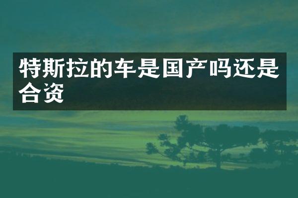 特斯拉的车是国产吗还是合资
