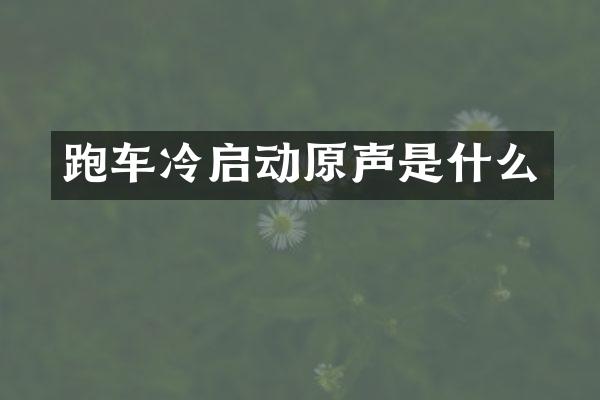 跑车冷启动原声是什么