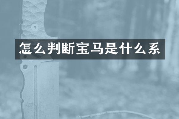 怎么判断宝马是什么系