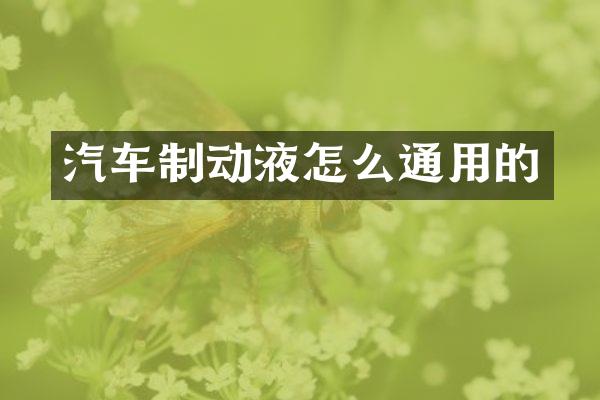 汽车制动液怎么通用的