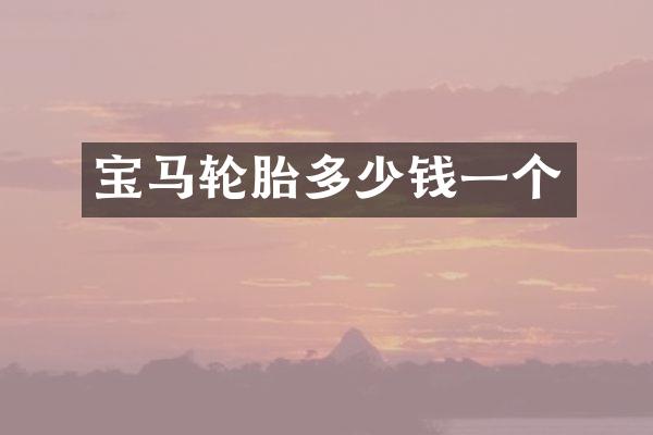 宝马轮胎多少钱一个