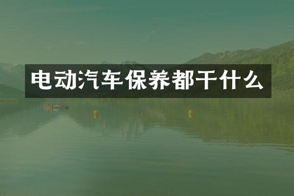 电动汽车保养都干什么