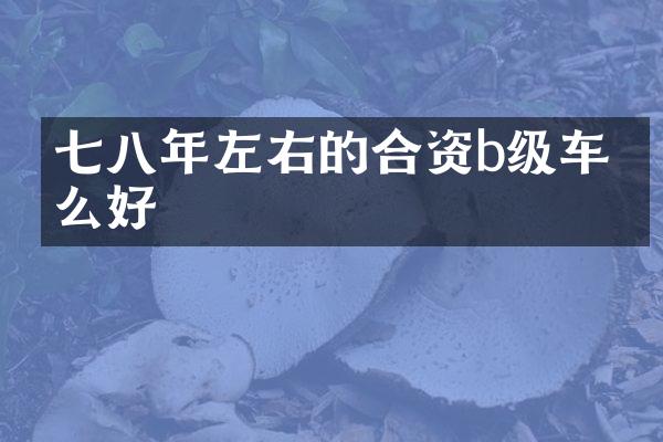 七八年左右的合资b级车什么好