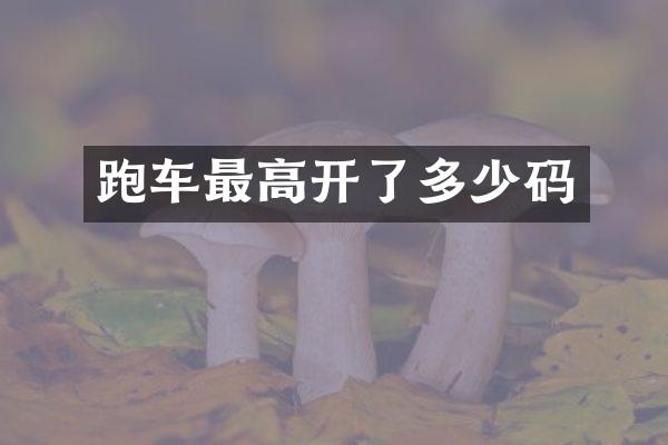 跑车最高开了多少码