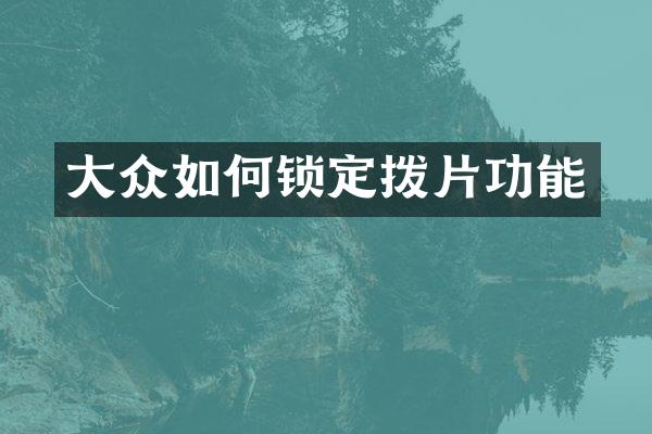 大众如何锁定拨片功能