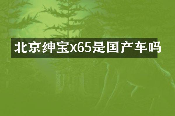 北京绅宝x65是国产车吗
