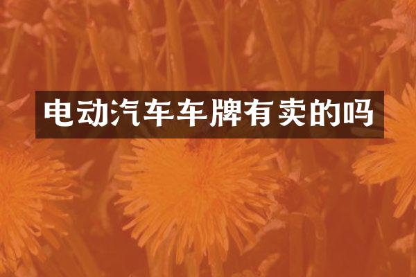 电动汽车车牌有卖的吗
