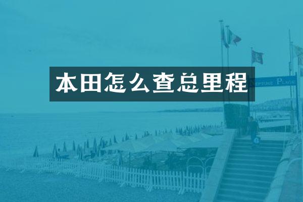 本田怎么查总里程