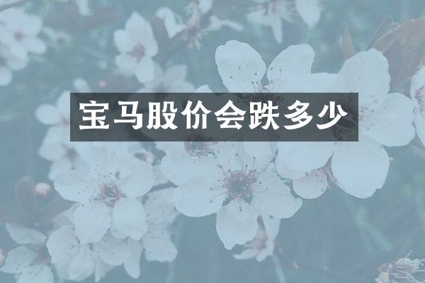 宝马股价会跌多少