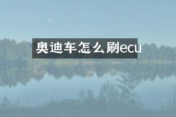 奥迪车怎么刷ecu