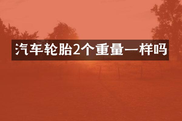 汽车轮胎2个重量一样吗